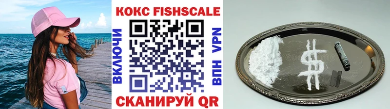 Cocaine FishScale  Купить закладки  Видное 