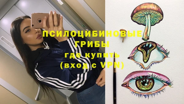 амф Лабытнанги