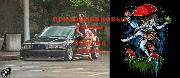 apvp Кулебаки