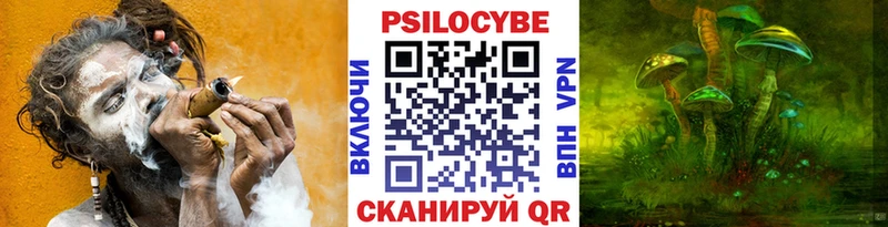 Купить где  Видное  Псилоцибиновые грибы Cubensis 